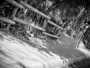 SantiagoEchavarria_crooks_indy_transfer