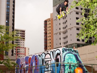 milton_fattyflattypark_brasillia