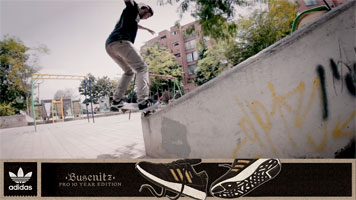 alejo adidas busenitz 2