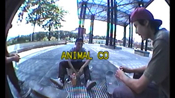 los ninos de animal co en medellin