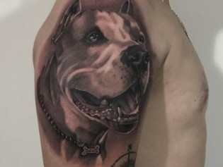 37537776_10214886684895692_7079215081543696384_n