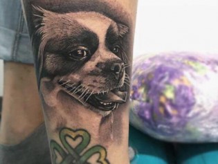 38425108_10214988349877253_95074126208696320_n